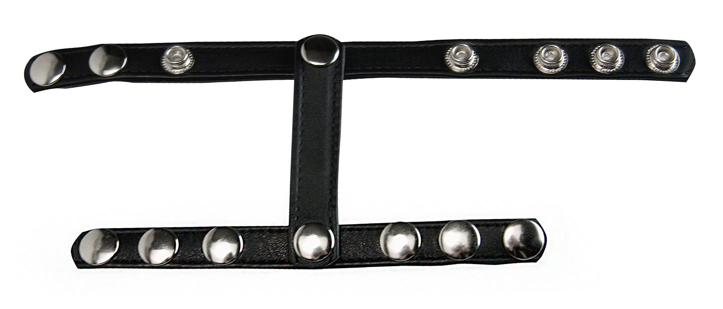 Strict Snap-On Cock And Ball Harness