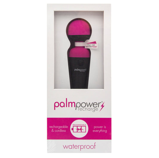 PalmPower Massage Wand Recharge Waterproof