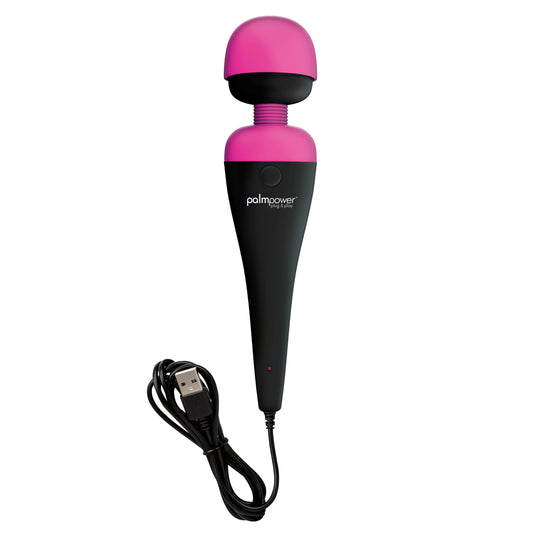 PalmPower Massage Wand Plug and Play USB