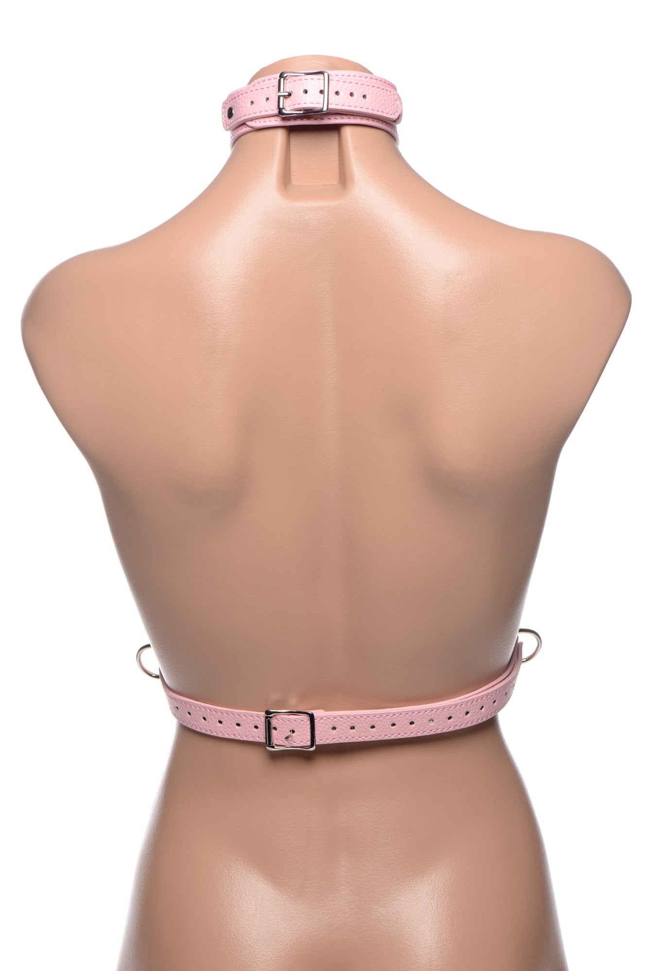 Frisky Miss Behaved Pink Chest Harness