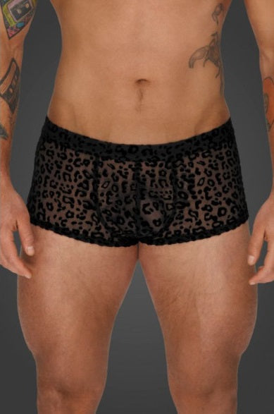Noir Leopard Flock Short Shorts Size S/M/L/XL
