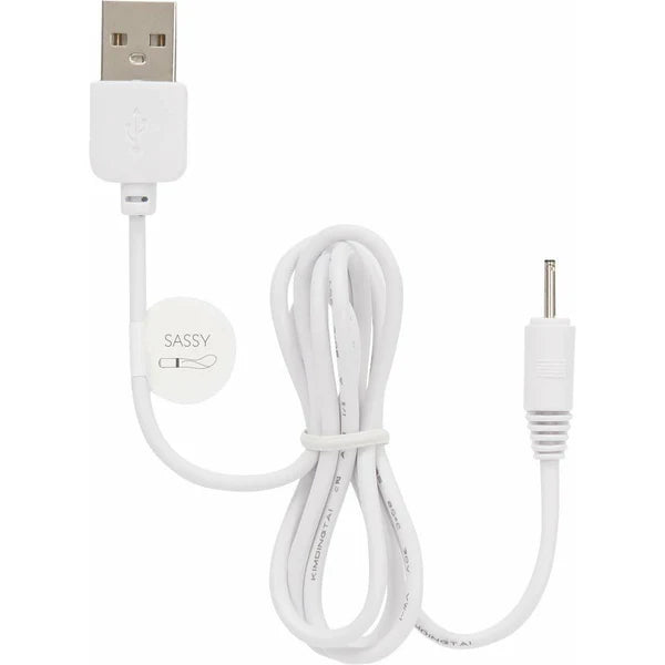 Pillow Talk Sultry, Kinky, Flirty, Racy, Cheeky, Sassy USB Spare Recharge Cable