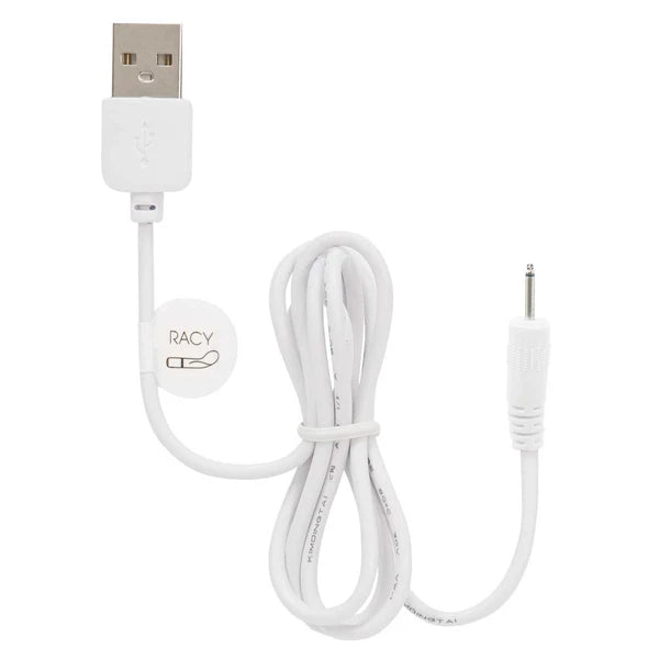 Pillow Talk Sultry, Kinky, Flirty, Racy, Cheeky, Sassy USB Spare Recharge Cable