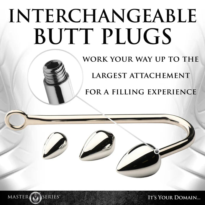 Master Series Anal Hook Trainer Anal Hook w/ 3 Plugs