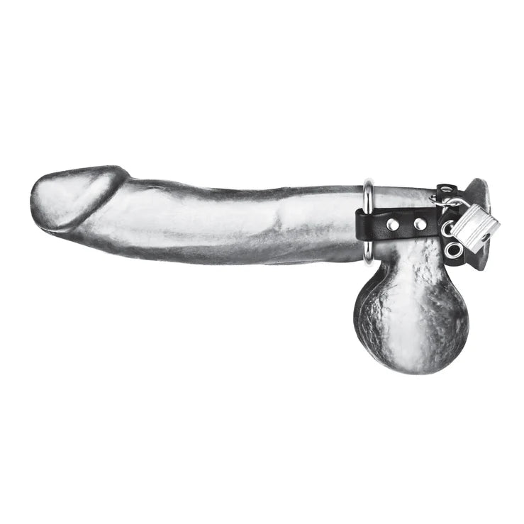 Electric EEL | Blue Line Metal Cock Ring With Locking Ball Strap