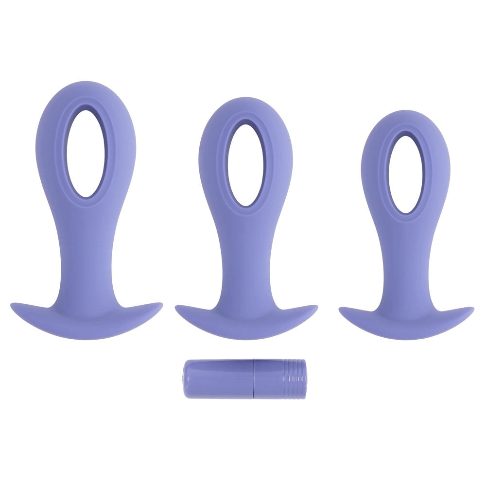 Evolved HOLE PUNCH PLUG SET - Purple Butt Plugs with Interchangeable Bullet - Set of 3 Sizes