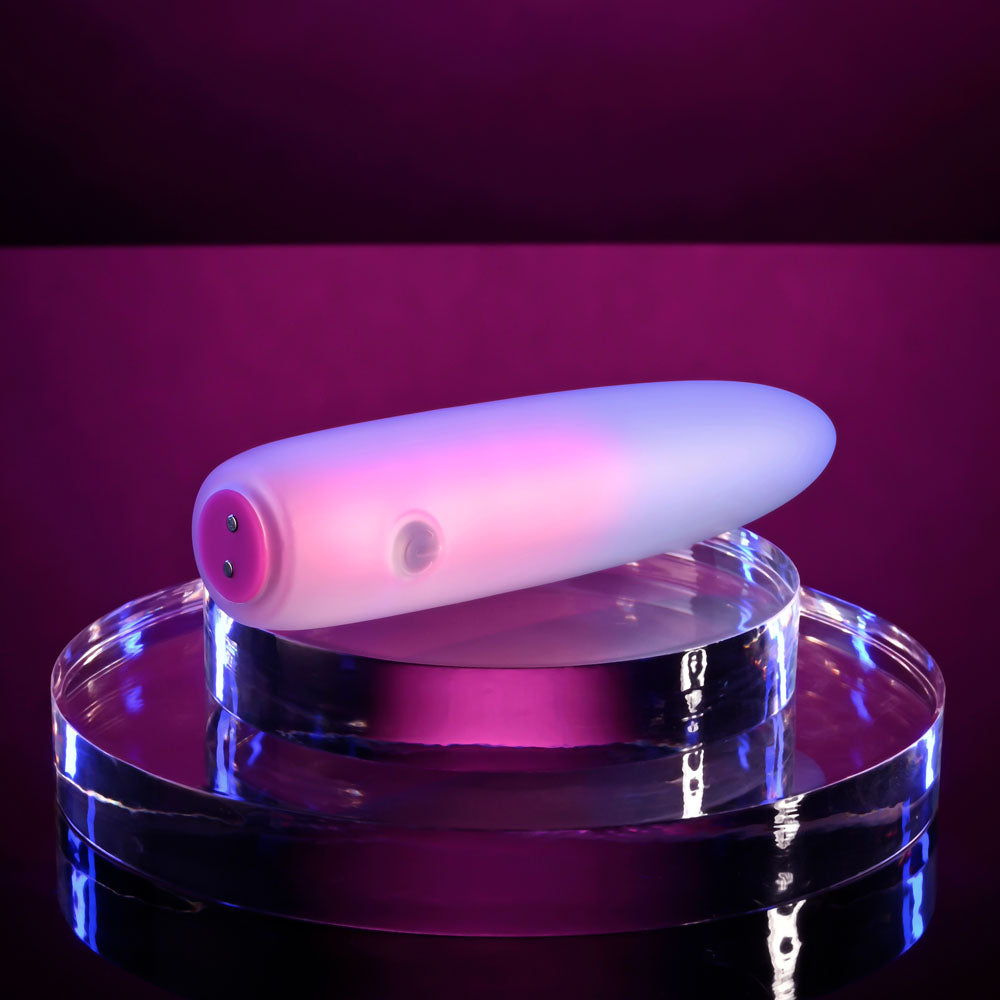 Evolved PARADISE BULLET - Pink/Purple 10.2cm USB Rechargeable Bullet