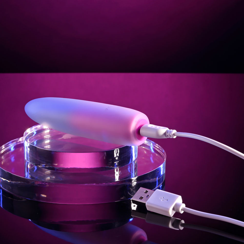 Evolved PARADISE BULLET - Pink/Purple 10.2cm USB Rechargeable Bullet