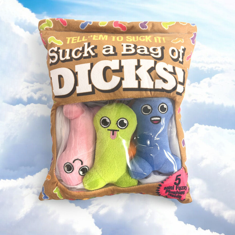 Little Genie | Suck A Bag Of Dicks Plushy Pillows - Set of 5