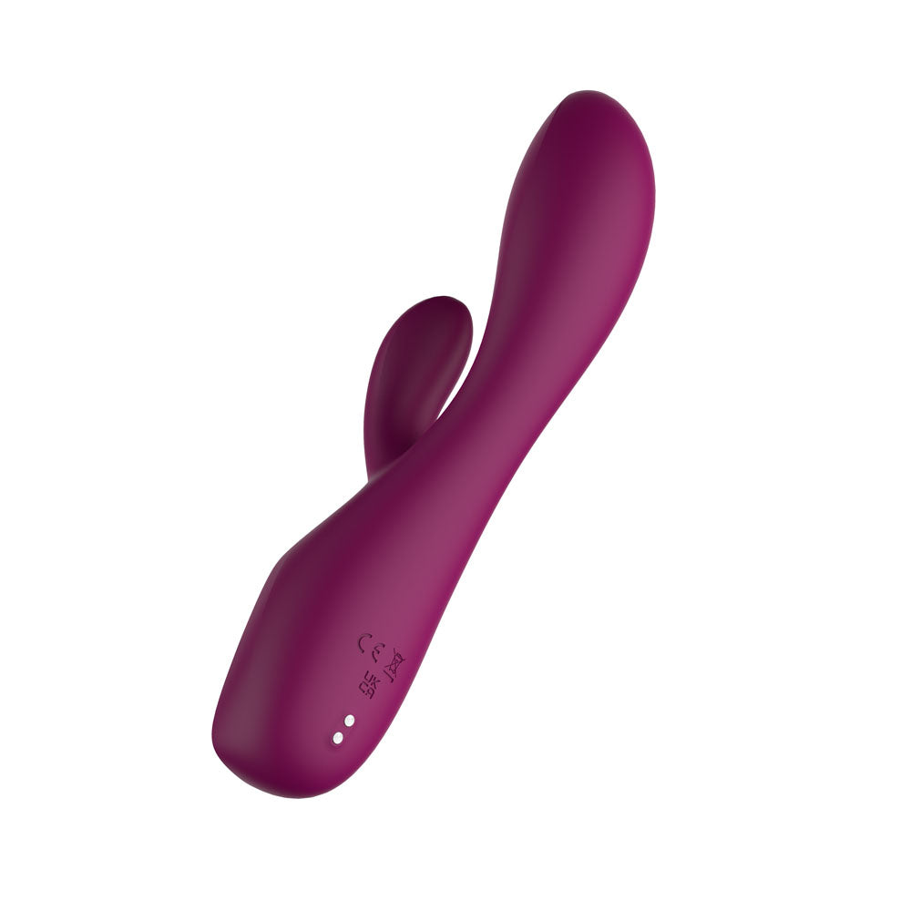 Passion Play Rabbit Vibrator with LED Screen - Purple