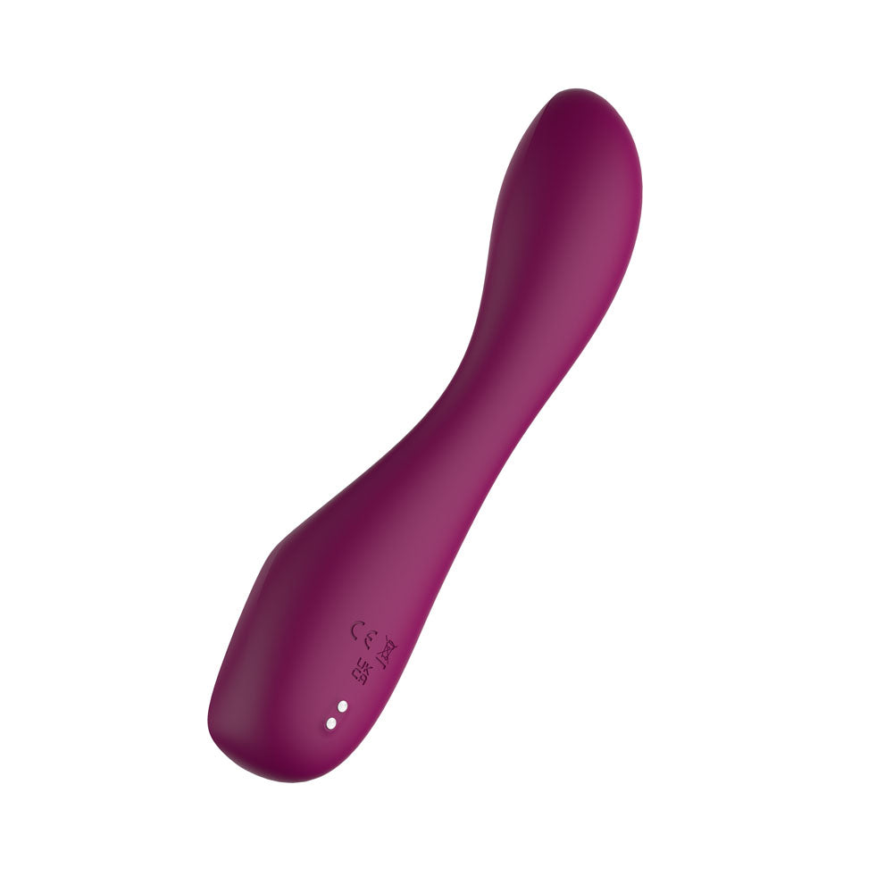 Passion Play G-Spot Vibrator with LED Screen - Purple
