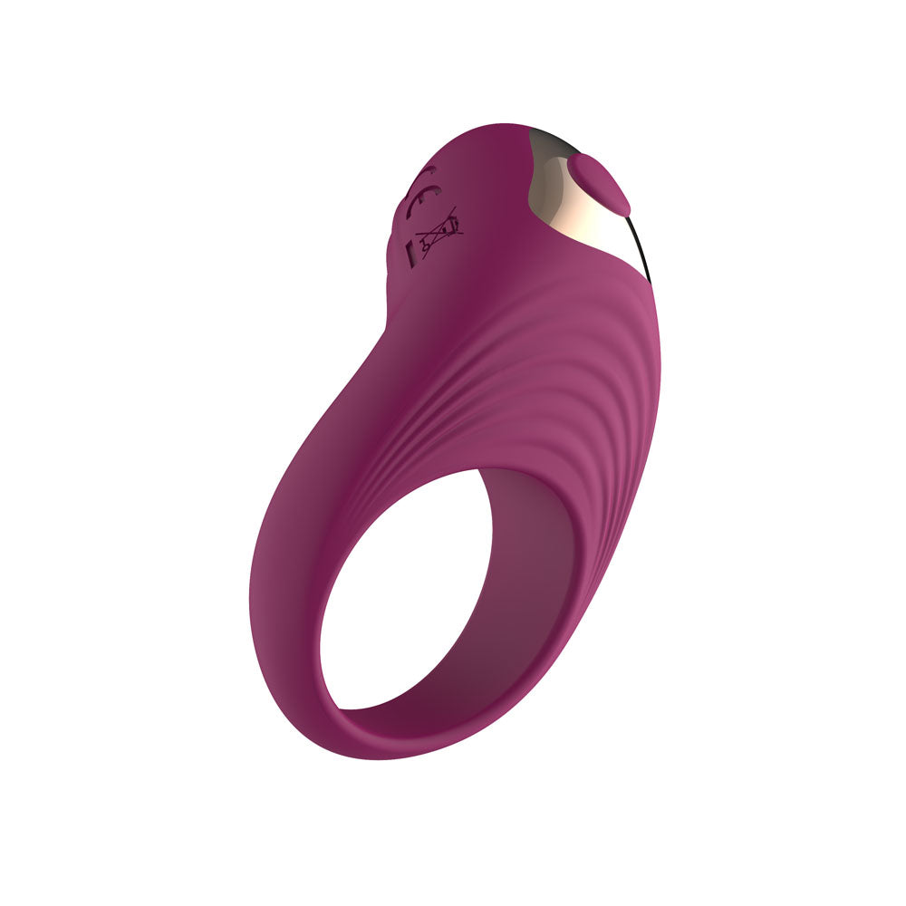 Passion Play Silicone Vibrating Cockring - Purple