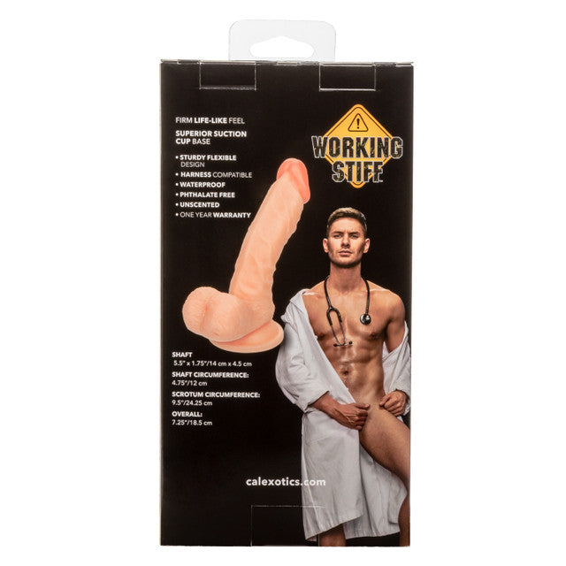 Calexotics | Working Stiff The Doctor Dildo Dong