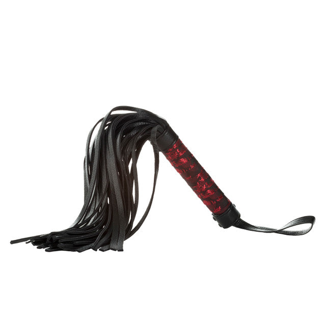 CalExotics Scandal Flogger Black