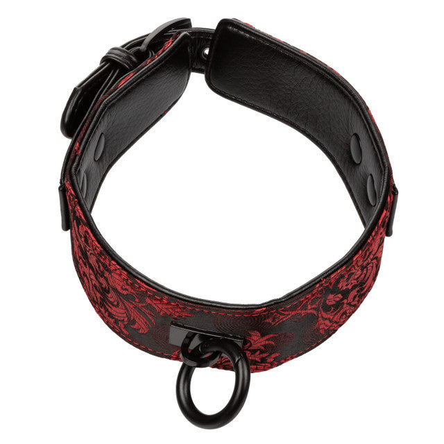 CalExotics Scandal Collar with Leash