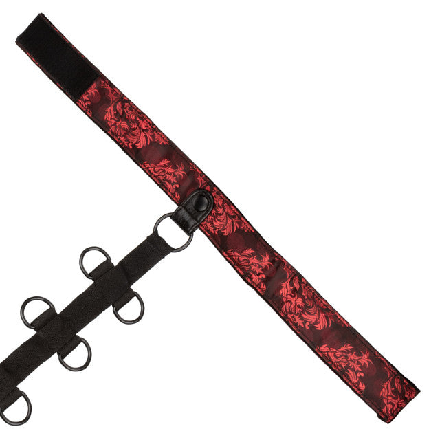 CalExotics Scandal Collar Body Restraint