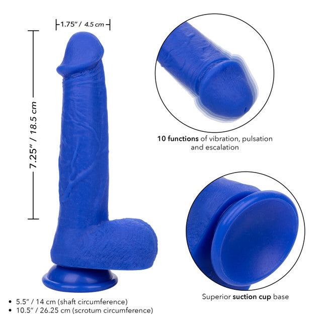Calexotics Admiral 8" Vibrating Captain Dildo