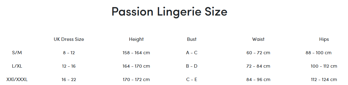 Passion Lingerie Bodystocking BS050 Black Size OS