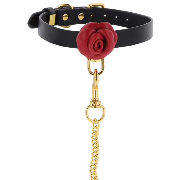 TABOOM Wild Roses Collar & Leash Black