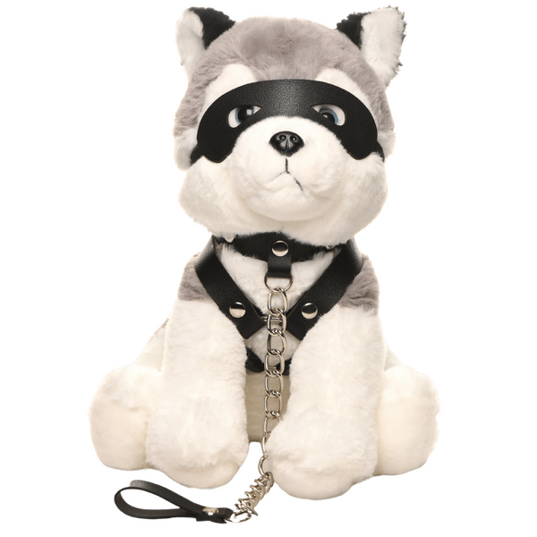 Master Series Max The Fetish Pup