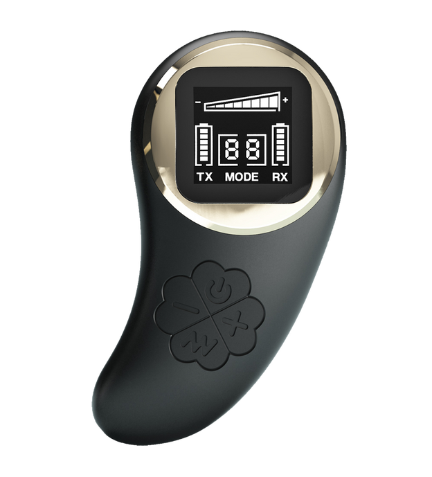 Pretty Love Nathan Remote Control Vibrator (Black)