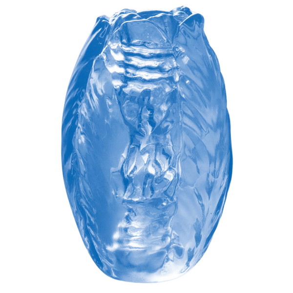 Excellent Power Pocket Jelly Masturbator 3.2" (Blue)