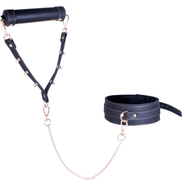 Excellent Power | Glam Studs Collar & Leash