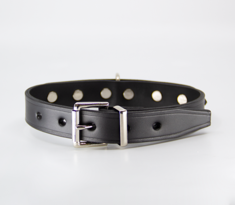 Love In Leather Unlined Leather Collar With Short Dog Spikes