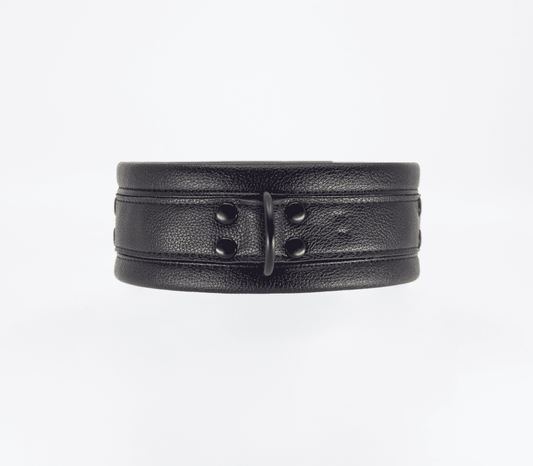 Love In Leather Faux Leather Collar & Lead Set with Matte Black Metal Hardware