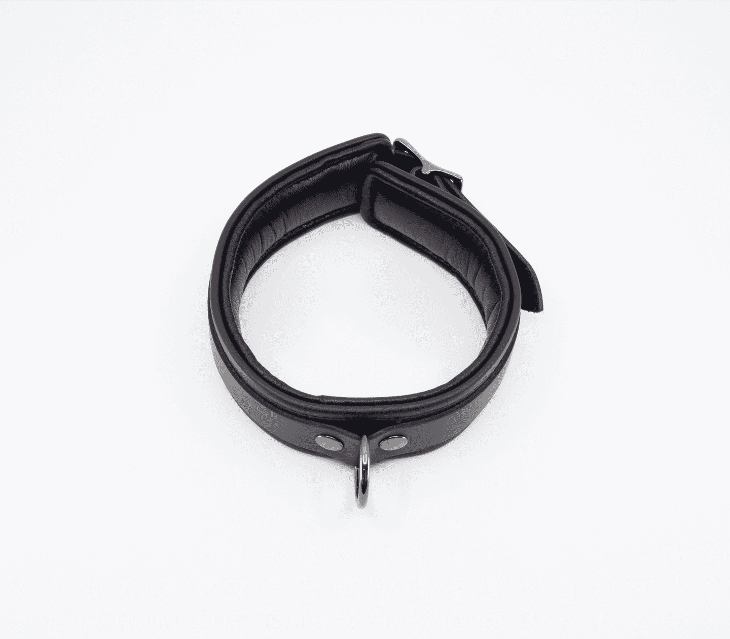 Love In Leather Leather Collar With Coloured Hardware