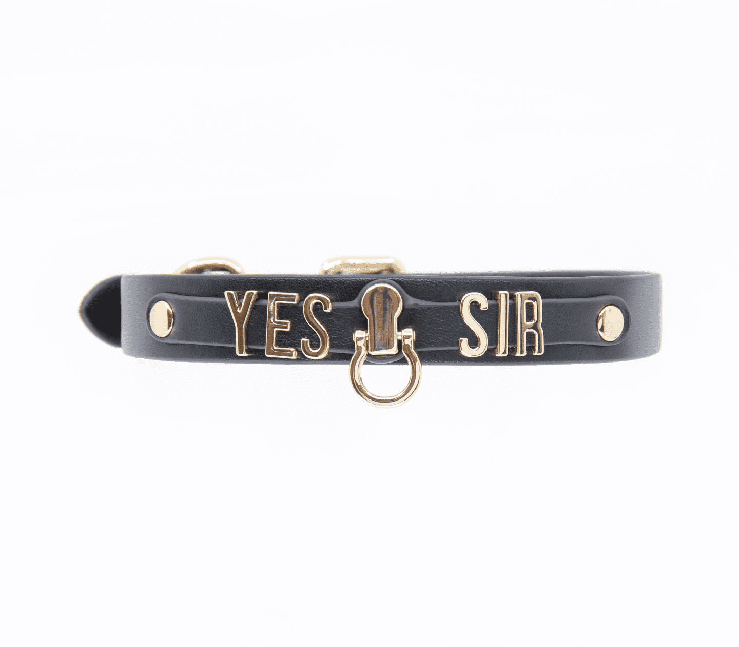 Love In Leather “Yes Sir” Faux Leather Collar