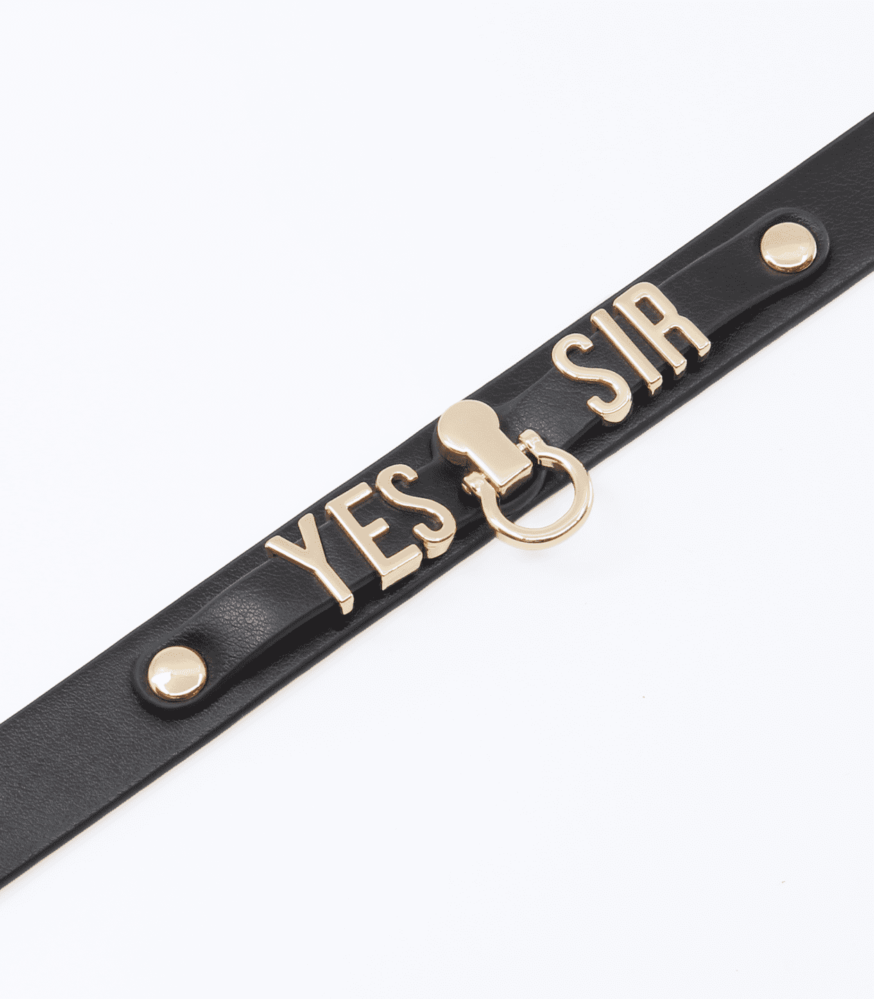 Love In Leather “Yes Sir” Faux Leather Collar