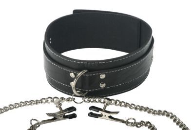 Master Series Coveted Collar And Clamp Union Nipple Clamps