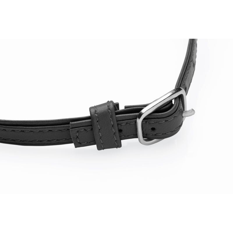 Master Series Sex Pet Leather Choker with Silver Ring Black