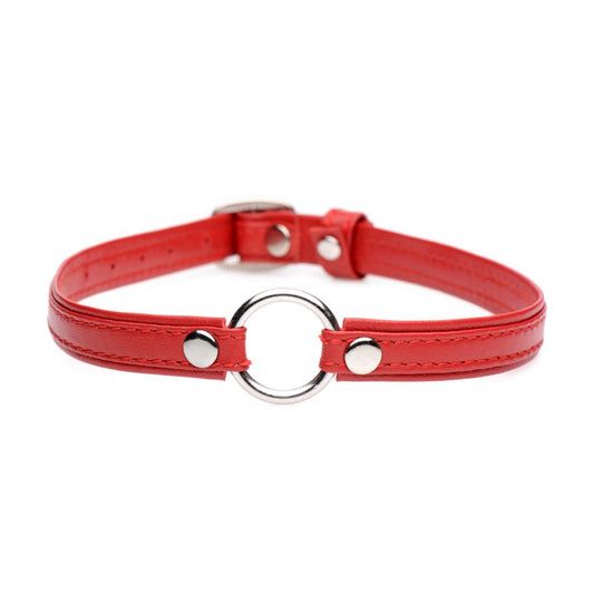 Master Series Fiery Pet Leather Choker with Silver Ring Red