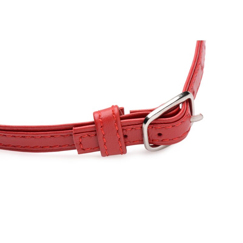 Master Series Fiery Pet Leather Choker with Silver Ring Red