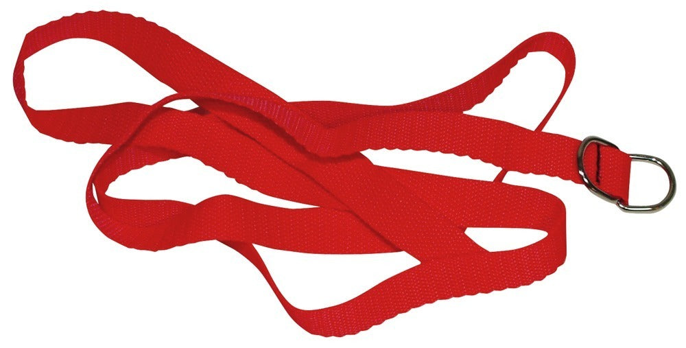 Bad Kitty Red Giant 8-Piece Bondage Set