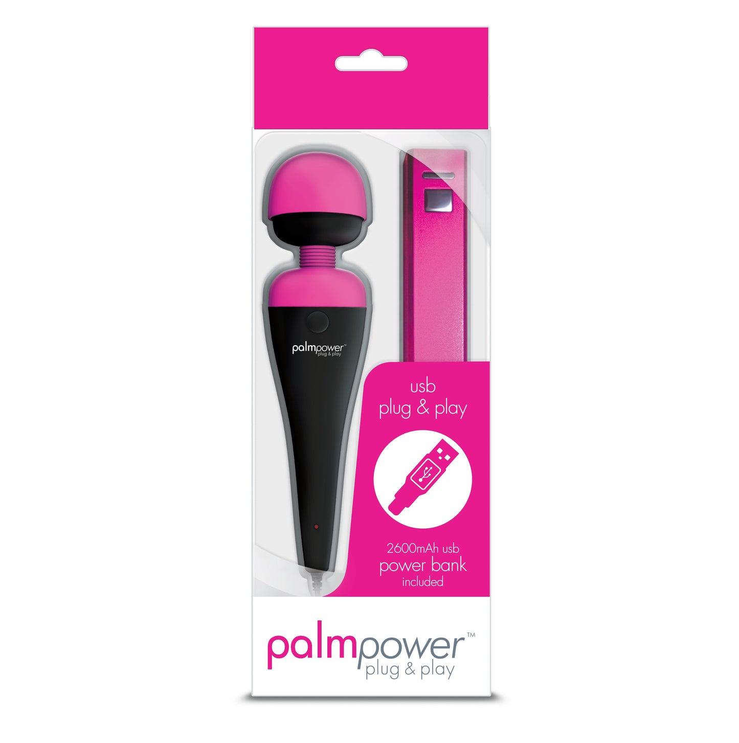 PalmPower Massage Wand Plug and Play USB