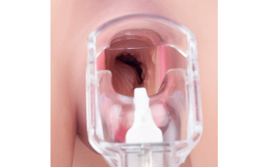 Daytona Dolls Love Torso Helen 61.5cm x 43cm x 72cm / 11kg