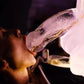 CreativeC | Play Wiv Me Huge Penis Ice Luge Mould