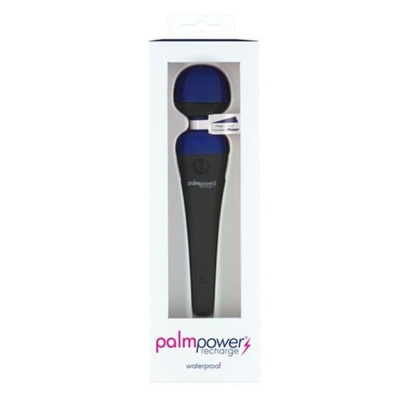 PalmPower Massage Wand Blue