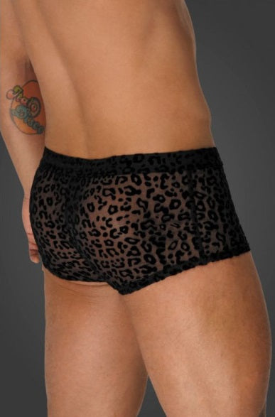 Noir Leopard Flock Short Shorts Size S/M/L/XL