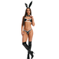 Obsessive Lingerie Night Bunny 4 Pc Set Costume Size S/M or L/XL