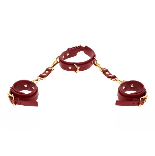 TABOOM Bondage in Luxury D-Ring Collar And Wrist Cuffs Red