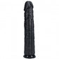 Shots Toys | REALROCK - Realistic Extra Long Dildo no Balls 15" / 38.1cm - Black