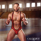 Calexotics | Cheap Thrills - The Wrestler Stroker Ass Masturbator
