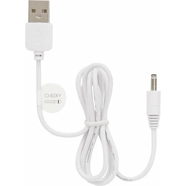 Pillow Talk Sultry, Kinky, Flirty, Racy, Cheeky, Sassy USB Spare Recharge Cable