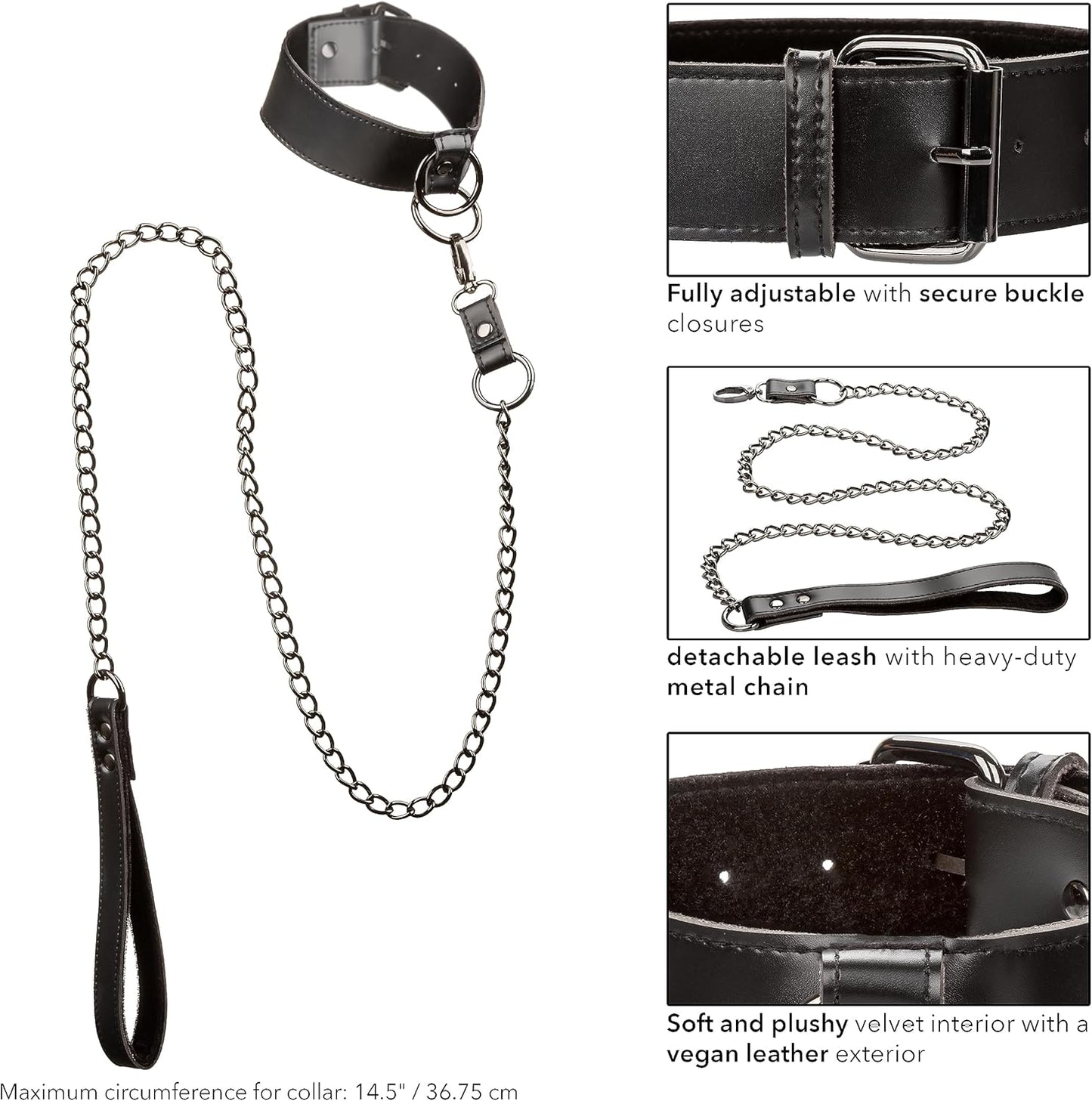 Calexotics Euphoria Collection Collar With Chain Leash