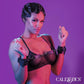 Calexotics Euphoria Collection Vegan Leather Hand Cuffs