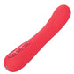 CalExotics Thumper Vibrator